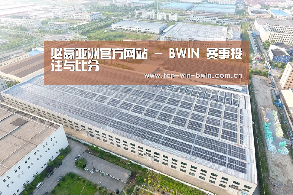 案例展示一