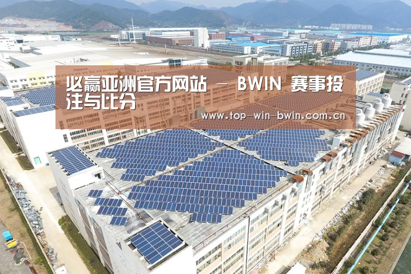 案例展示一