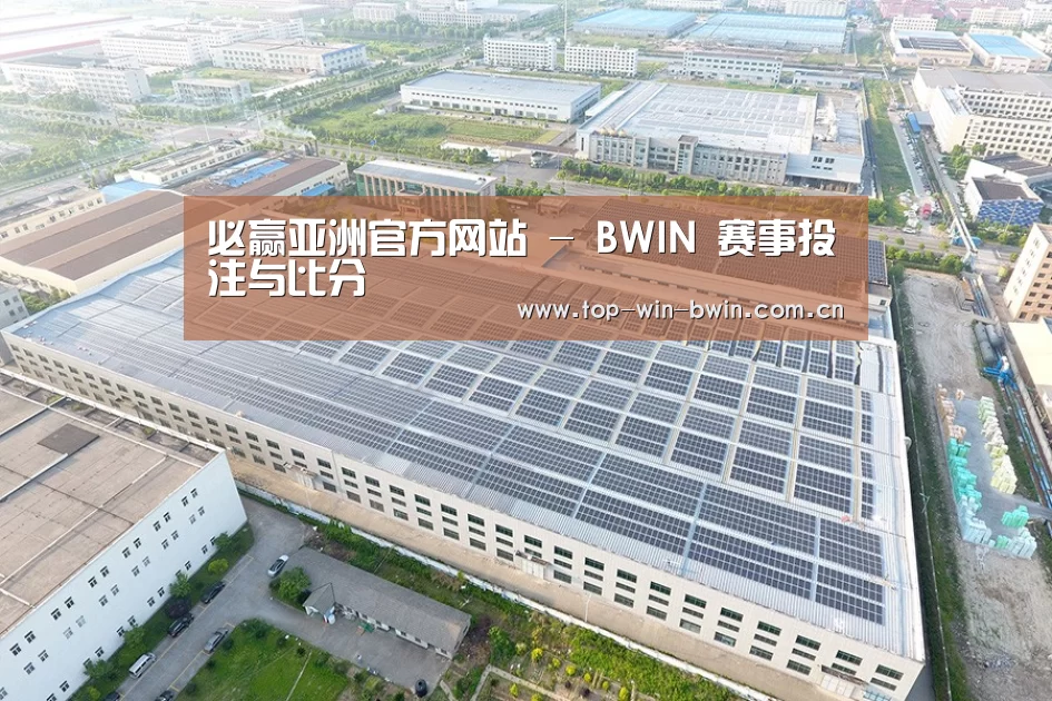 案例展示三