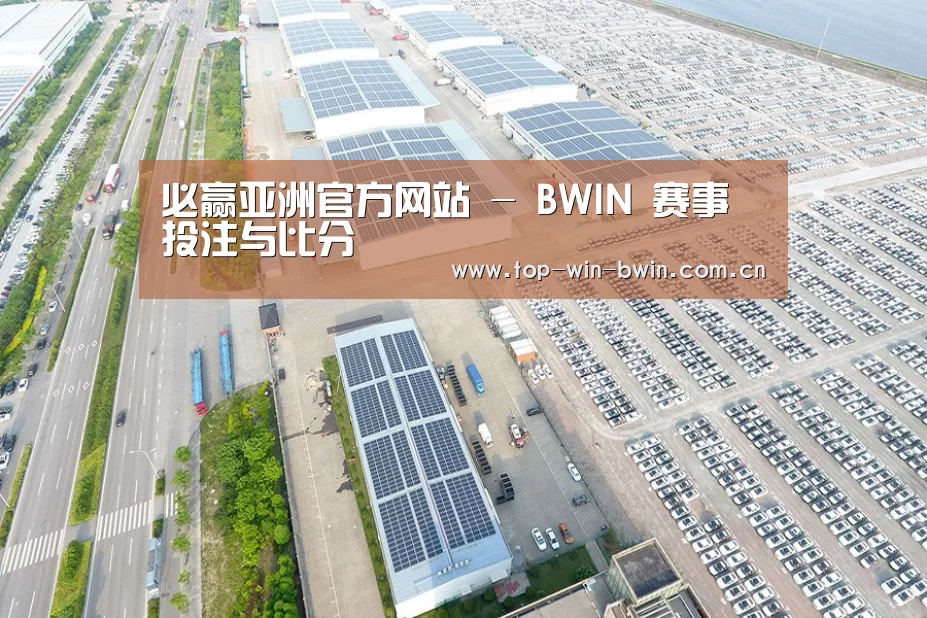 案例展示四