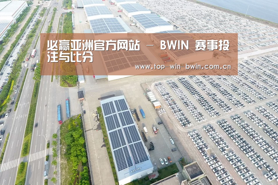 案例展示三