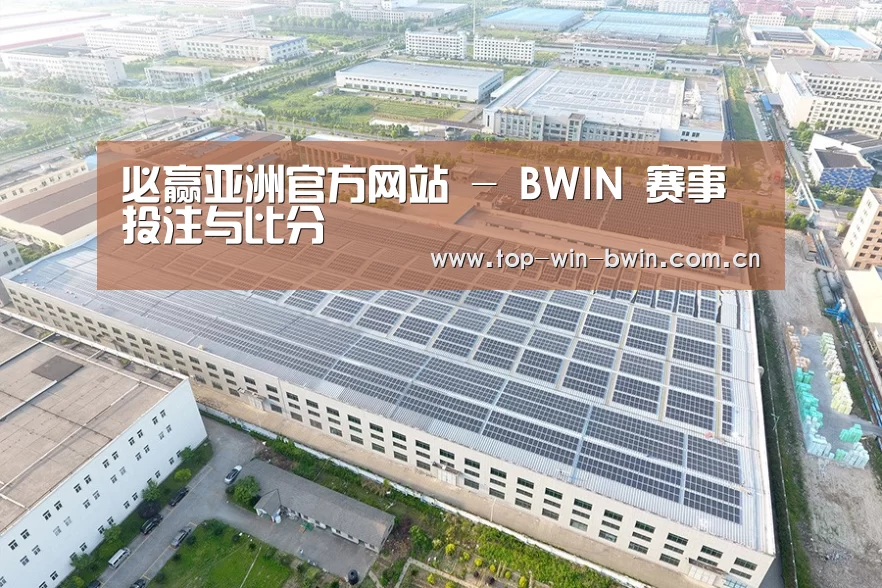 案例展示四